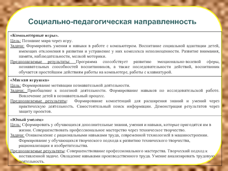 Направленность педагога. Программы социально-педагогической направленности. Социально-педагогическое направление это какие предметы. Социально-педагогическое направление в дополнительном образовании. Социально-педагогическая направленность.