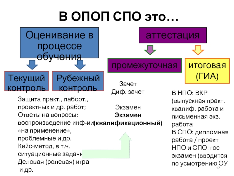 Общепрофессиональные компетенции. СПО. ОПОП. Специальное программное обеспечение.