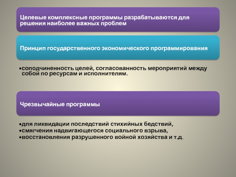 Комплексная программа. Целевые комплексные программы разрабатываются на уровнях:. Структура целевой комплексной программы. Охарактеризуйте целевые комплексные программы.. Государственное экономическое программирование.