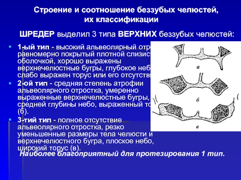 Определение центрального соотношения беззубых челюстей презентация