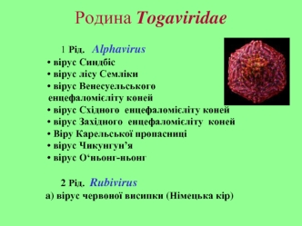 Родина Togaviridae