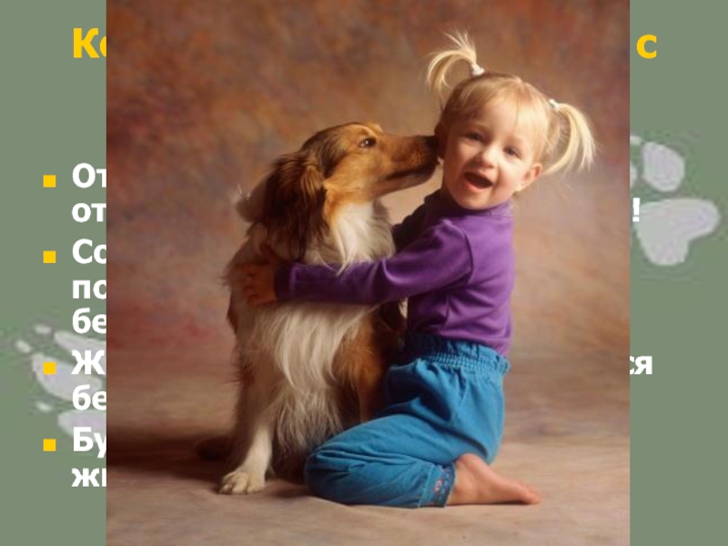 Кодекс правил поведения с домашними животными Ответственно и с любовью относись к