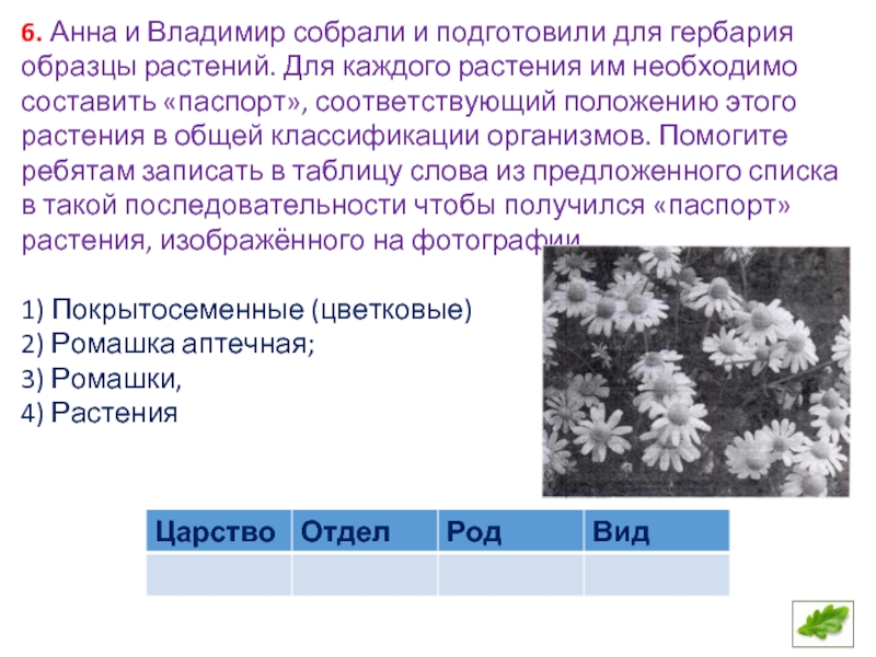 Татьяна и тимофей собрали и подготовили для гербария образцы растений для каждого растения