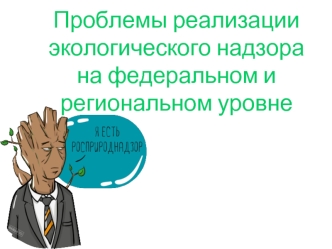 Проблемы реализации экологического надзора на федеральном и региональном уровне