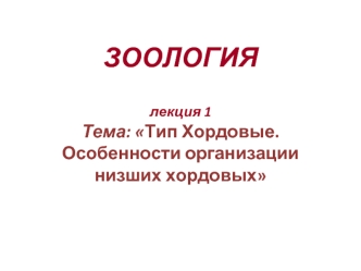 Тип Хордовые. Особенности организации низших хордовых