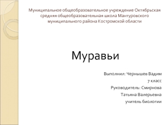 Муравьи

Выполнил: Чернышев Вадим
7 класс 
Руководитель: Смирнова 
Татьяна Валерьевна
учитель биологии