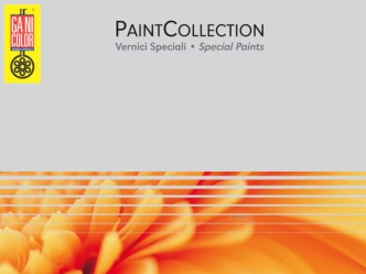 Paint Collection