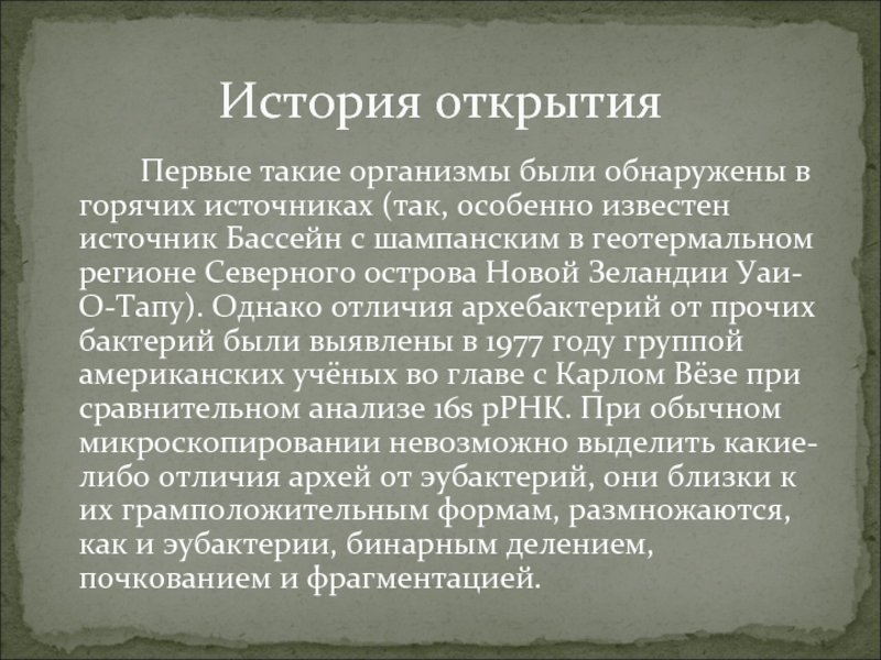 Древние археи. Археи это в биологии. Эволюция Архей. Краткое сообщение об археях. Факты об архебактериях кратко.