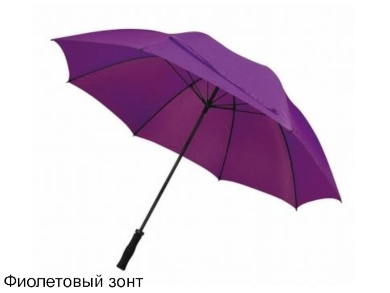 Как получить зонтик. Зонт фиолетовый. Сиреневый зонт. Фултон фиолетовый зонт. Зонт большой фиолетовый.