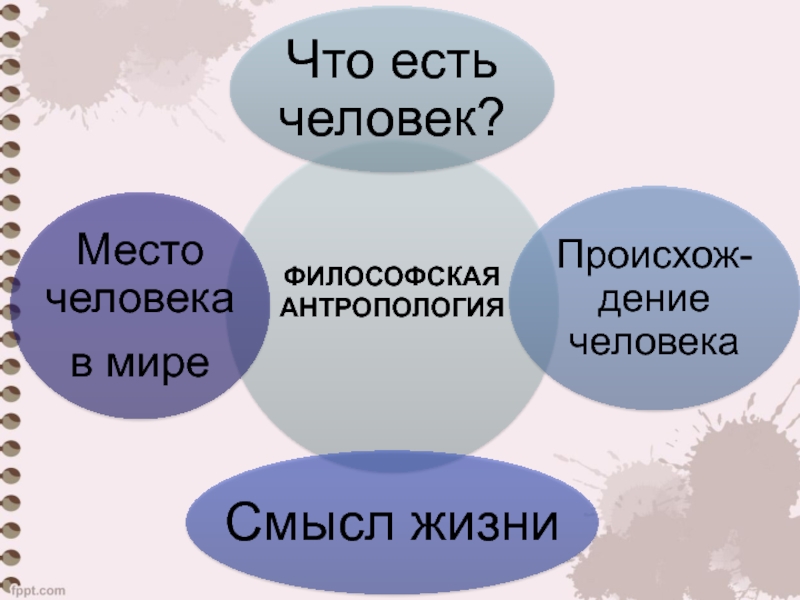 Реферат: Философский взгляд на сущность человека