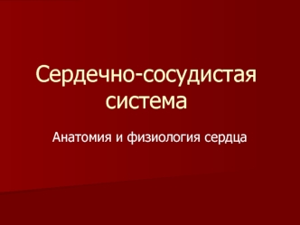 Сердечно-сосудистая система. Анатомия и физиология сердца