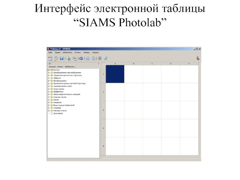 Интерфейс электронной таблицы “SIAMS Photolab”