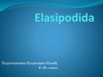 Elasipodida. Царство Животные. Подцарство Многоклеточные. Тип Иглокожие