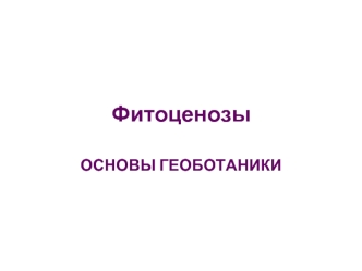 Фитоценозы