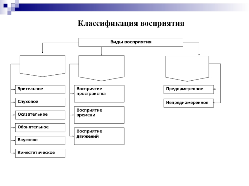 Специальный вид восприятия. Классификация видов восприятия.