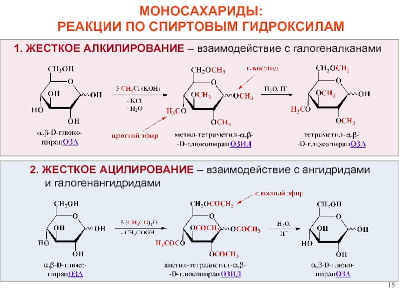 Реакции на гидроксильную группу. Реакции спиртовых гидроксилов моносахаридов. Реакции на спиртовой гидроксил. Реакции алкилирования и ацилирования моносахаридов. Алкилирование моносахаридов.