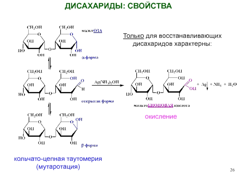 Химические и физические свойства дисахаридов