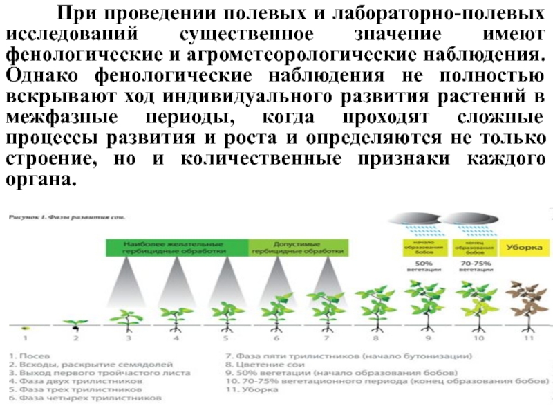 Основным требованием при построении схем вегетационных опытов является