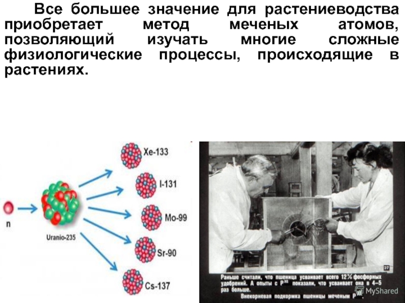 Метод меченых атомов картинки