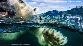 2014 International Nature Photography Competition - Asferico