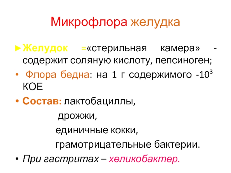 Пепсиноген. Микрофлора желудка. Нормальная микрофлора желудка. Микрофлора в норме желудка. Микрофлора желудка микробиология.