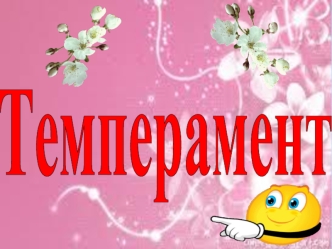 Темперамент туралы жалпы ұғым