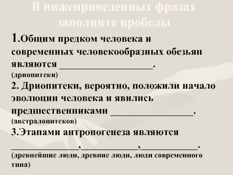 Общими предками человека и человекообразных обезьян являются