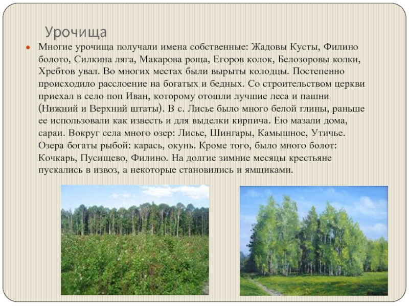 Что такое урочище простыми словами. Урочище. Что такое урочище определение. Урочище пример. Урочище ландшафтоведение.