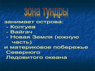 зона тундры