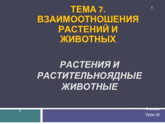 Растения и растительноядные животные