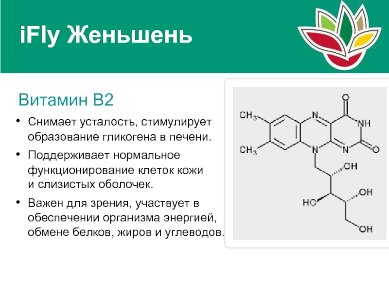 Витамины в1 в2 в3 в6 в12. Функции витамина в2. Основная функция витамина в2. Витамин в2 (рибофлавин). Витамин в2 функции в организме.