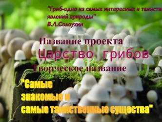 Название проекта