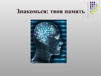 Знакомься: твоя память