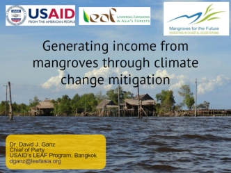 Generating income from mangroves through climate change mitigation