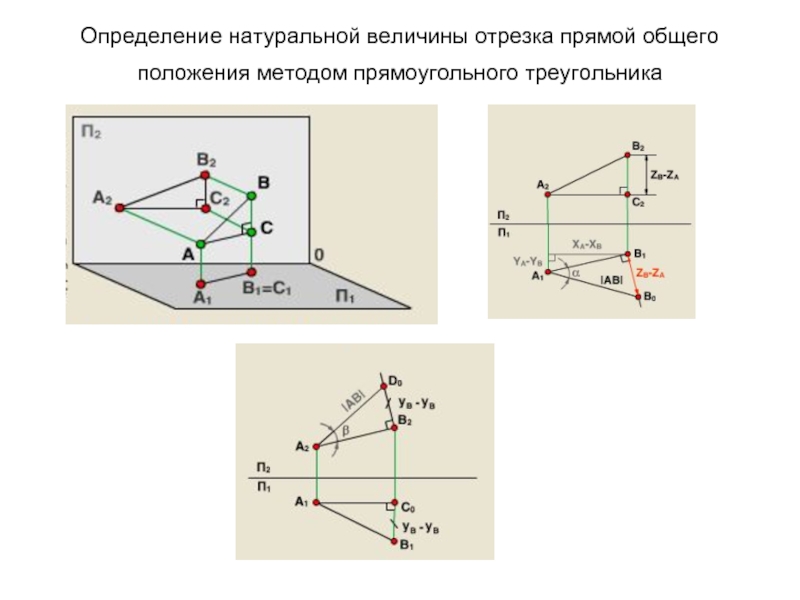 Натуральная величина отрезка