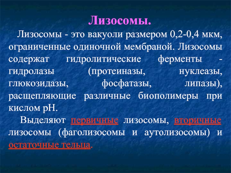 Наличие гидролитических ферментов