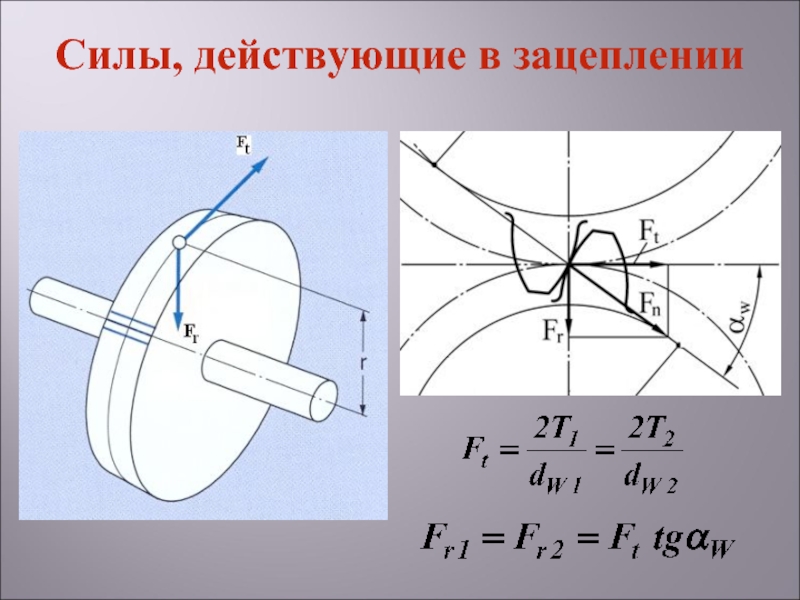 Практическая работа эскиз прямозубого цилиндрического колеса