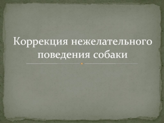 Коррекция нежелательного поведения собак