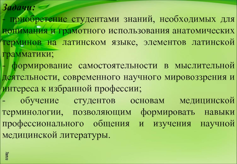 Задачи для проекта медицинская терминология. Термины элементы в латинском языке. Хирургическая терминология. Медицинская терминология информационной системы.