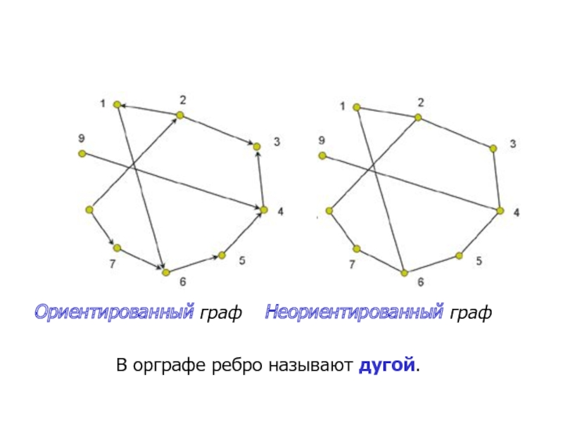 Точки графа называются ребрами графа