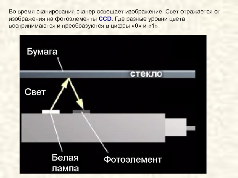 Изображение было оцифровано и сохранено. Процесс оцифровки изображения. Время сканирование. Фотоэлемент сканера. Растровое изображение это в сканер.