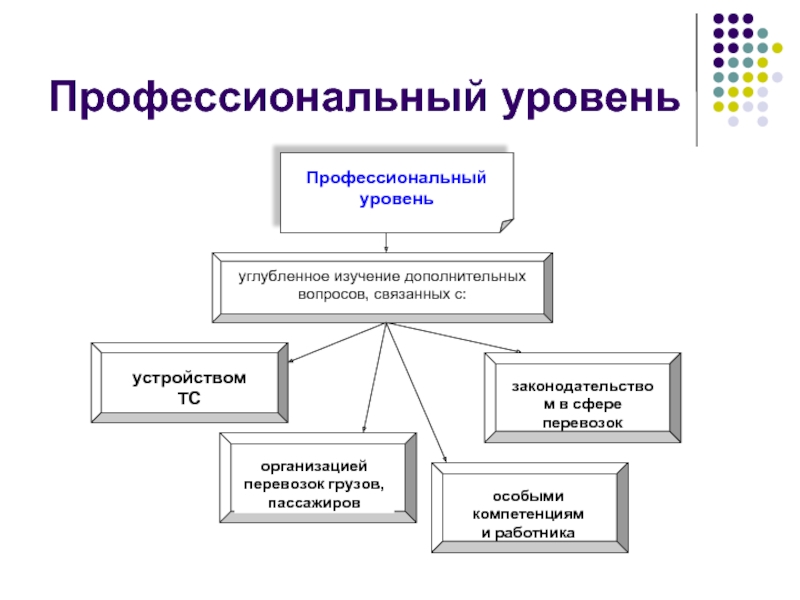 Профессиональный уровень. Уровни профессионализма. Степени профессионализма. Средний уровень профессионализма.