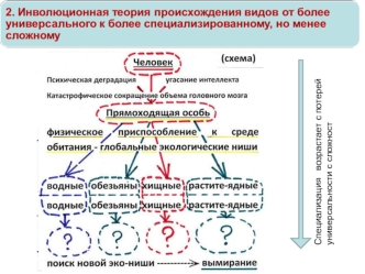 Инволюционная теория происхождения видов от более универсального к более специализированному, но менее сложному