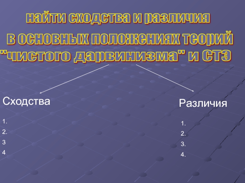 Найдите сходства и различия