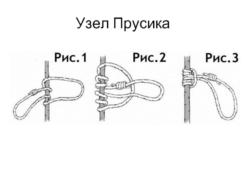 Узел прусика схема вязания