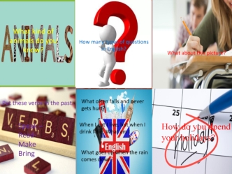 How many types of questions in English