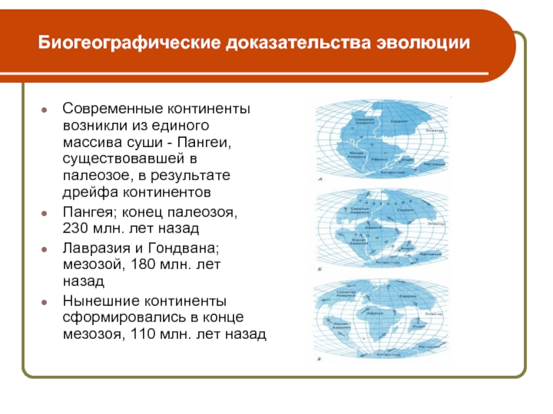 Биогеографические доказательства эволюции картинки