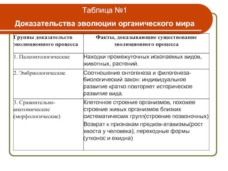 Установите соответствие доказательства эволюции