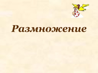 Бесполое и половое размножение. Мужская и женская половые системы