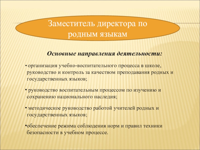 Вакансия заместителя по безопасности школы. Направление деятельности заместителя директора школы. Направления работы заместителя директора в школе. Направления работы заместителя директора по УВР. Заместители директора школы по направлениям.